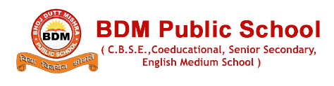 BDM Public School