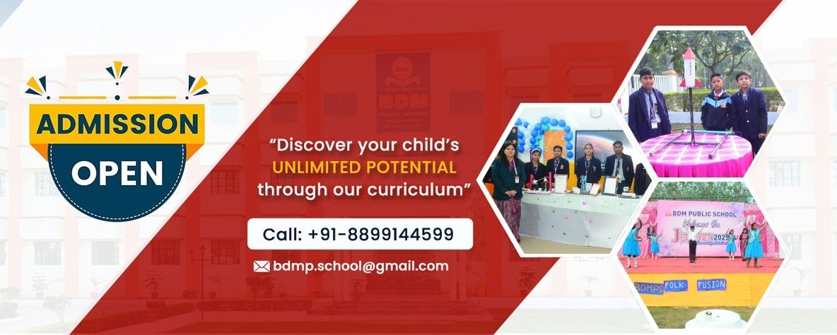 BDM Public School